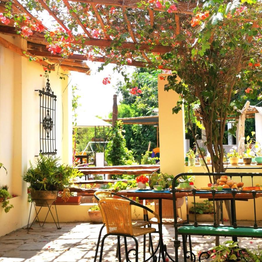 Luchy'S Country House Hostel Ика Екстериор снимка