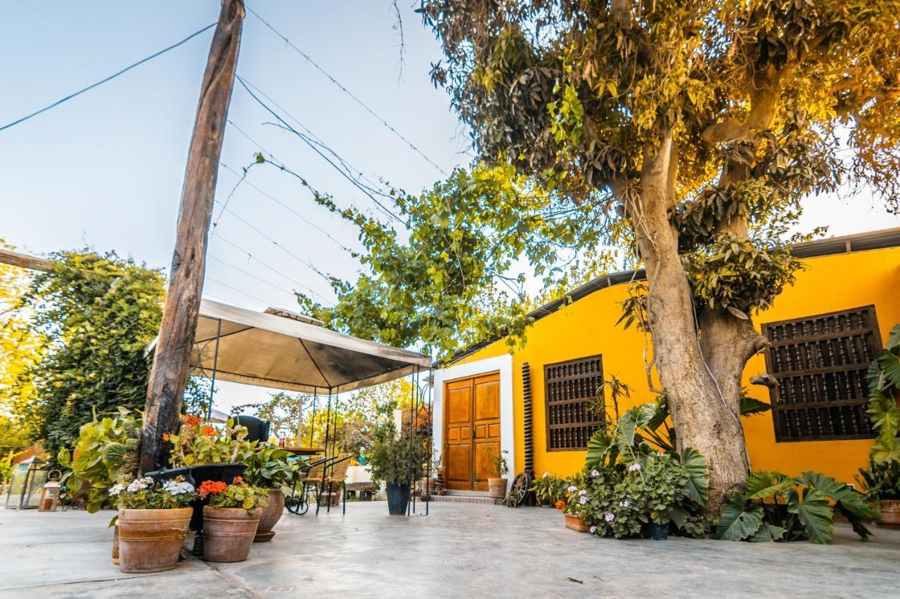 Luchy'S Country House Hostel Ика Екстериор снимка